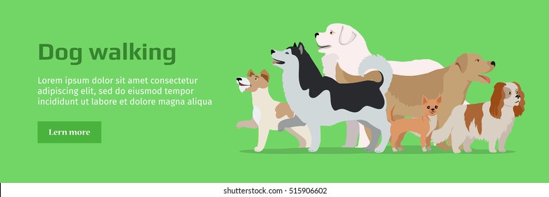 Professional dog walking banner. Group of different breeds dogs on green background. Website horizontal template. Dog service. Vector illustration in flat style. Cartoon dog character, pet animal
