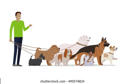 Professional dog walking banner. Young man walking with group of different breeds dogs on white background. Dog service. Vector illustration in flat style. Cartoon dog character, pet animal