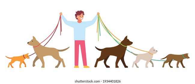 Professional dog walking. A man walks with a pet. Vector illustration isolated on white background.