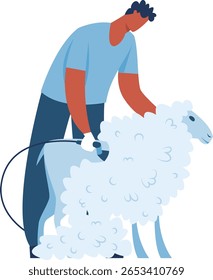 Agricultor profissional tosquiando lã de ovelha com uma navalha elétrica em uma fazenda, destacando o cuidado com o gado e apresentando práticas essenciais na agricultura e agricultura sustentável