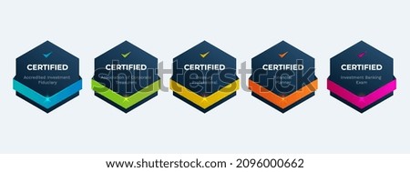 Professional Finance Certification Badge Design Template. Certified Company Examination Logo by Criteria. Foto d'archivio © 
