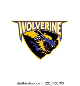 A professional flat vector insignia featuring an aggressive wolverine head with sharp claws. The design uses a bold purple, yellow, and black color palette and is set within a shield shape with prominent Wolverine text at the top. This high quality mascot graphic is ideal for competitive sports team logos, gaming clan emblems, school athletic branding, and tough streetwear apparel designs.
