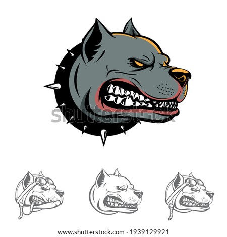 A professional flat vector mascot set featuring powerful pitbull dog head concepts. The main design depicts a fierce grey bulldog head with a spiked collar and aggressive expression. This high impact collection includes several variations such as a pilot dog wearing an aviator helmet and clean line art outlines, making it ideal for sports team logos, guard dog security branding, and rugged apparel design.