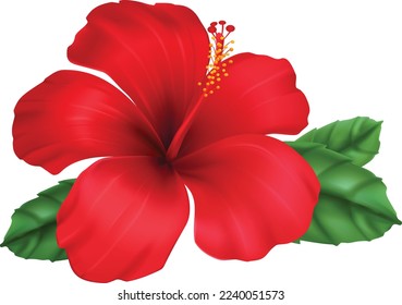 professional flower and leaves design illustration