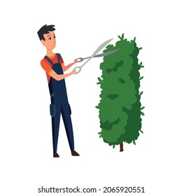Professional gardener pruning hedge with pruners or garden shears. Man working with shrubs in backyard. Colored flat vector illustration of worker in uniform isolated on white background