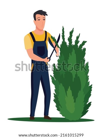 Professional gardener pruning tree with pruners or garden shears. Man working with shrubs in backyard. Colored flat vector illustration of worker in uniform isolated on white background
