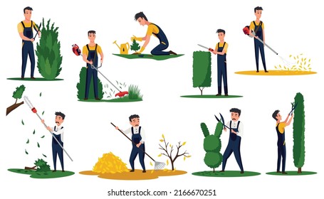 Professional gardeners with different tools and poses. Maintenance performing, plants and lawn care, pruning bush leaves. Man using garden machinery, equipment and tools