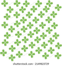 Professional green foliage background on a white background