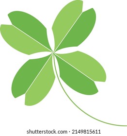 Professional green leaf design on a white background