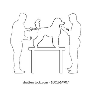 Professional grooming team hairdressing French Royal Poodle champion dog on desk in groom saloon vector line contour silhouette illustration isolated on white background. Hygiene health care for pet.