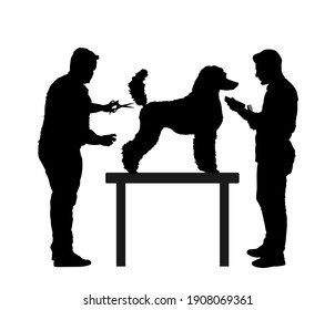 Peluquería del equipo de preparación profesional Perro campeón del Royal Poodle en el escritorio en la silueta vectorial de salón de belleza aislado en fondo blanco. Atención de higiene para mascotas.