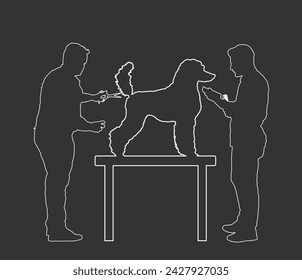 Professional grooming team hairdressing French Royal Poodle champion dog on desk in groom saloon vector line contour silhouette illustration isolated on black background. Hygiene health care for pet.