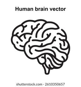Professional Human Brain Icon Vector High Quality Mind Intelligence Symbol