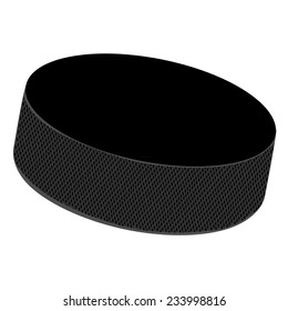 Professional ice hockey puck vector isolated on white