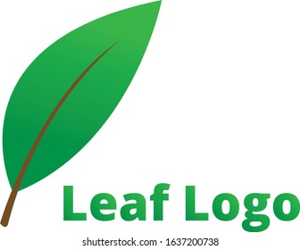 Professional logo design that help your small business.