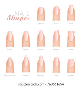 Professional Manicure Different Shapes Nails Vector Stock Vector ...