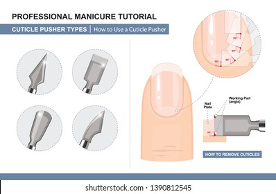 Professional Manicure Tutorial. How to Use a Cuticle Pusher. How to Remove Cuticles. Nail Extension and Manicure Tools. Pusher Types. Vector illustration