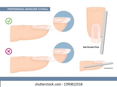 Professional Manicure Tutorial. The Perfect Nail Shape. How to File Nails the Right Way. Manicure Mistakes. Vector illustration