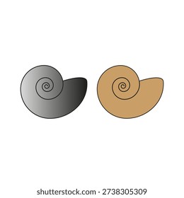 Professional mollusk shells. Professional white background. Professional mollusk Vector. Professional masterpiece centerpiece