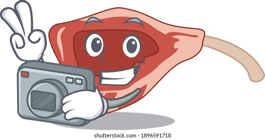 a professional photographer lamb chop cartoon picture working with camera. Vector illustration