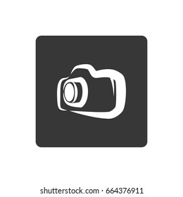 Professional photographic camera