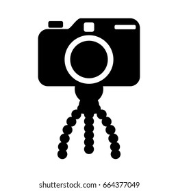Professional photographic camera
