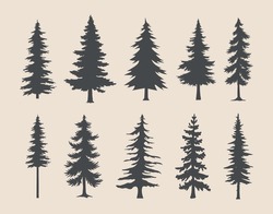 Professional Pine Trees Silhouette Vector Art