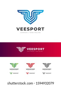 Professional Premium V Letter Logo Design