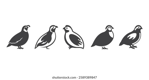 Professional Quail Bird Logo Icons Silhouette Vector Illustration