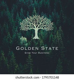 Professionelles, realistisches Logo mit mehr Authentizität.
