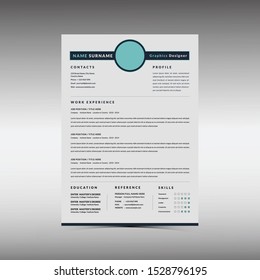 Professional Resume CV for interview