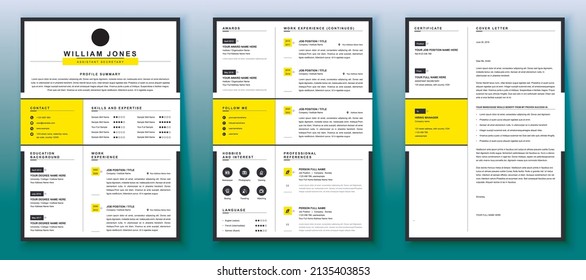 Professional Resume Cv Template Design 