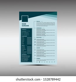 professional Resume CV Template for interview