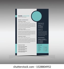 Professional Resume CV Template For interview