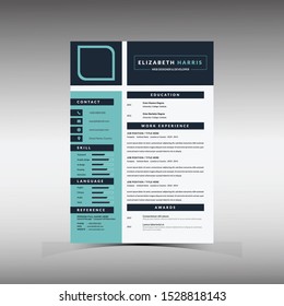Professional Resume CV Template For interview