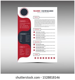 Professional Resume CV Template For interview