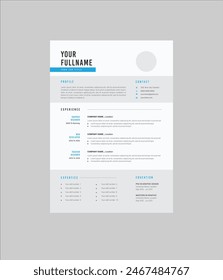 Professional Resume CV Template For Job