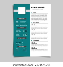 Professional Resume CV vector Graphic Templates