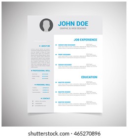 Professional resume in flat style