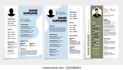 Professional resume template design. Business layout vector for job applications 