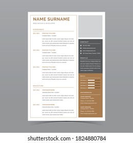 Professional Resume Template Vector Design