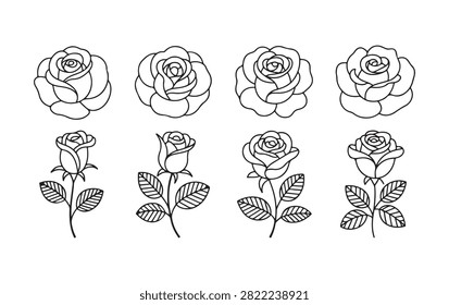 Professional rose outline collection