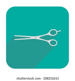 Professional scissors icon