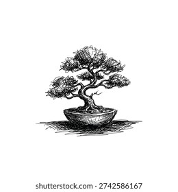 Professional scribble line art of a meticulously pruned oriental bonsai tree