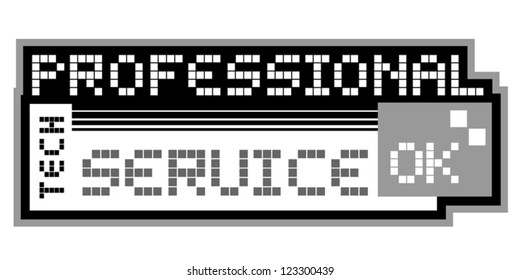 Professional service