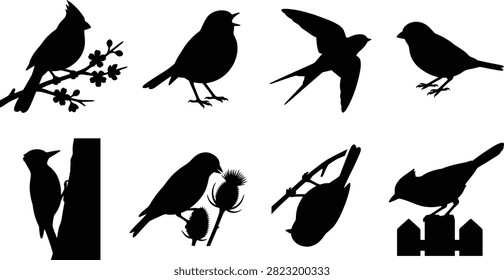 A professional set of black vector silhouettes featuring various garden songbirds perched on branches, flowers, trees, and fences. Perfect for nature-themed designs, wildlife conservation educational materials, bird-watching hobby projects, and garden decoration graphics.