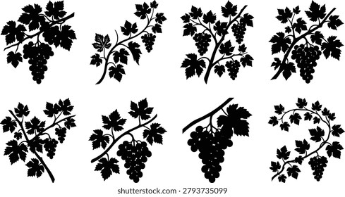 A professional set of eight grape cluster silhouettes including vines and foliage. These versatile vector elements are ideal for wine labels, winery logos, harvest festival designs, and organic food branding.
