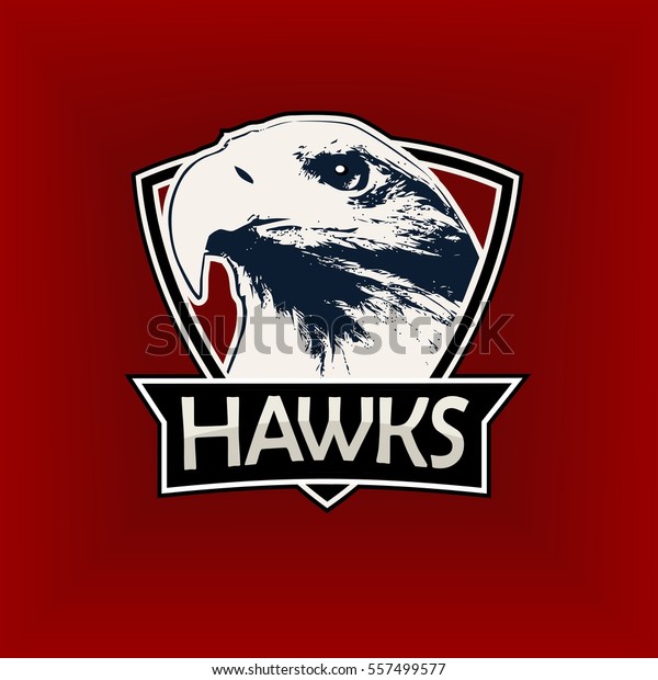 Professional sports logo, emblem template with the\
image of the hawk, eagle,\
falcon
