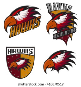 Professional sports logo hawks