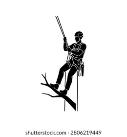Professional tree climber rappelling down a limb using harness and ropes. Essential for arboriculture and outdoor safety campaigns.